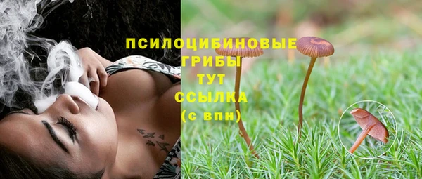 2c-b Баксан
